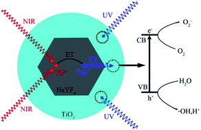 Graphical abstract: Directly coat TiO2 on hydrophobic NaYF4:Yb,Tm nanoplates and regulate their photocatalytic activities with the core size
