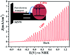 Graphical abstract: Quantum dot-decorated silicon nanowires as efficient photoelectrodes for photoelectrochemical hydrogen generation