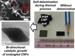 Graphical abstract: Ultra high-yield one-step synthesis of conductive and superhydrophobic three-dimensional mats of carbon nanofibers via full catalysis of unconstrained thin films