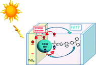Graphical abstract: Enhanced photovoltaic performance with co-sensitization of quantum dots and an organic dye in dye-sensitized solar cells