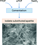Graphical abstract: Immobilization of iodine into a hydroxyapatite structure prepared by cementation