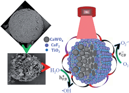 Graphical abstract: An efficient near infrared photocatalyst of Er3+/Tm3+/Yb3+ tridoped (CaWO4@(TiO2/CaF2)) with multi-stage CaF2 nanocrystal formation