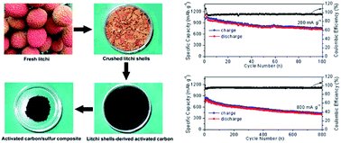 Graphical abstract: Activated carbon with ultrahigh specific surface area synthesized from natural plant material for lithium–sulfur batteries