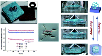 Graphical abstract: Super-floatable multidimensional porous metal foam integrated with a bionic superhydrophobic surface