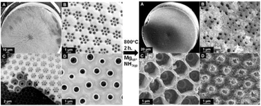 Graphical abstract: Synthesis and properties of silicon/magnesium silicon nitride diatom frustule replicas
