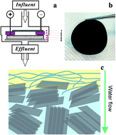Graphical abstract: A graphene-based electrochemical filter for water purification