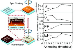 Graphical abstract: Understanding the formation and evolution of interdiffusion grown organolead halide perovskite thin films by thermal annealing