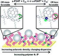 Graphical abstract: Systematic electrochemical oxidative doping of P3HT to probe interfacial charge transfer across polymer–fullerene interfaces