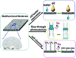 Graphical abstract: Underwater superoleophobic porous membrane based on hierarchical TiO2 nanotubes: multifunctional integration of oil–water separation, flow-through photocatalysis and self-cleaning