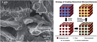 Graphical abstract: Positioning growth of scalable silica nanorods on the interior and exterior surfaces of porous composites