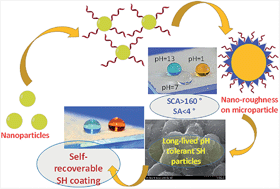 Graphical abstract: Long-living, stress- and pH-tolerant superhydrophobic silica particles via fast and efficient urethane chemistry; facile preparation of self-recoverable SH coatings