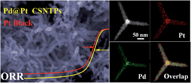 Graphical abstract: Pd@Pt core–shell tetrapods as highly active and stable electrocatalysts for the oxygen reduction reaction