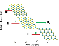 Graphical abstract: Site-specific catalytic activity in exfoliated MoS2 single-layer polytypes for hydrogen evolution: basal plane and edges