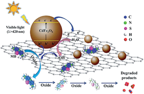 Graphical abstract: Magnetically separable CdFe2O4/graphene catalyst and its enhanced photocatalytic properties