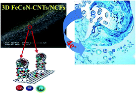 Graphical abstract: Fe, Co, N-functionalized carbon nanotubes in situ grown on 3D porous N-doped carbon foams as a noble metal-free catalyst for oxygen reduction