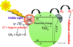 Graphical abstract: Highly enhanced plasmonic photocatalytic activity of Ag/AgCl/TiO2 by CuO co-catalyst