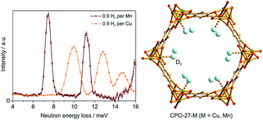 Graphical abstract: Intriguing differences in hydrogen adsorption in CPO-27 materials induced by metal substitution