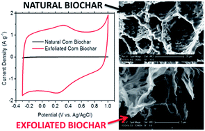 Graphical abstract: High capacitive performance of exfoliated biochar nanosheets from biomass waste corn cob