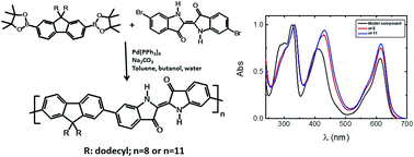 Graphical abstract: Unusual photophysical properties of conjugated, alternating indigo–fluorene copolymers