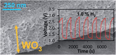 Graphical abstract: Anodized nanoporous WO3 Schottky contact structures for hydrogen and ethanol sensing