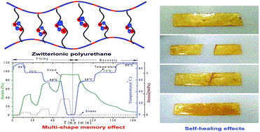 Graphical abstract: Development of zwitterionic polyurethanes with multi-shape memory effects and self-healing properties