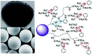 Graphical abstract: Purification of phenol-contaminated water by adsorption with quaternized poly(dimethylaminopropyl methacrylamide)-grafted PVBC microspheres