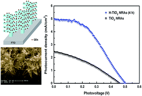 Graphical abstract: Branched hierarchical photoanode of anatase TiO2 nanotubes on rutile TiO2 nanorod arrays for efficient quantum dot-sensitized solar cells