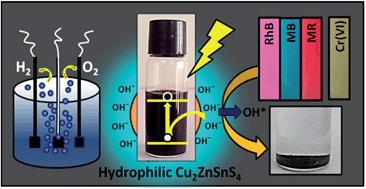 Graphical abstract: Efficient hydrogen/oxygen evolution and photocatalytic dye degradation and reduction of aqueous Cr(vi) by surfactant free hydrophilic Cu2ZnSnS4 nanoparticles