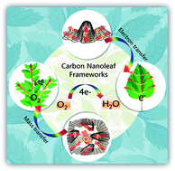 Graphical abstract: Rational design of three-dimensional nitrogen-doped carbon nanoleaf networks for high-performance oxygen reduction