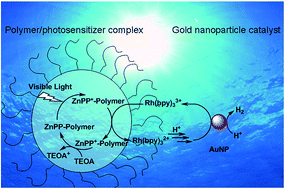 Graphical abstract: Gold nanoparticle-catalysed photosensitized water reduction for hydrogen generation