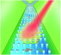 Graphical abstract: Plasmonic nanopillar array embedded microfluidic chips: an in situ SERS monitoring platform