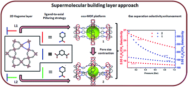 Graphical abstract: A supermolecular building layer approach for gas separation and storage applications: the eea and rtl MOF platforms for CO2 capture and hydrocarbon separation