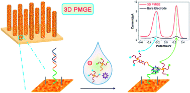 Graphical abstract: Three-dimensional porous microarray of gold modified electrode for ultrasensitive and simultaneous assay of various cancer biomarkers