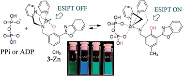 Graphical abstract: A mononuclear zinc complex for selective detection of diphosphate via ESIPT fluorescence turn-on