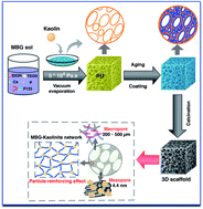 Graphical abstract: Kaolin-reinforced 3D MBG scaffolds with hierarchical architecture and robust mechanical strength for bone tissue engineering
