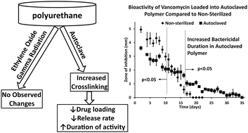 Graphical abstract: Thermomechanical properties, antibiotic release, and bioactivity of a sterilized cyclodextrin drug delivery system