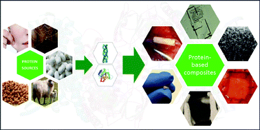 Graphical abstract: Protein-based materials: from sources to innovative sustainable materials for biomedical applications