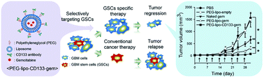 Graphical abstract: CD133 antibody-conjugated immunoliposomes encapsulating gemcitabine for targeting glioblastoma stem cells