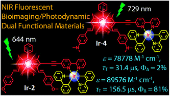 Graphical abstract: Cyclometalated Ir(iii) complexes with styryl-BODIPY ligands showing near IR absorption/emission: preparation, study of photophysical properties and application as photodynamic/luminescence imaging materials