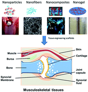 Graphical abstract: Emerging nanostructured materials for musculoskeletal tissue engineering