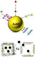 Graphical abstract: Gold nanoparticles and gold nanoparticle-conjugates for delivery of therapeutic molecules. Progress and challenges