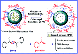 Graphical abstract: Controlled free radical generation against tumor cells by pH-responsive mesoporous silica nanocomposite