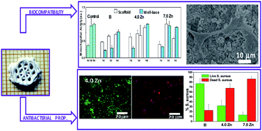 Graphical abstract: In vitro antibacterial capacity and cytocompatibility of SiO2–CaO–P2O5 meso-macroporous glass scaffolds enriched with ZnO