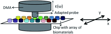 Graphical abstract: A combinatorial study of nanocomposite hydrogels: on-chip mechanical/viscoelastic and pre-osteoblast interaction characterization