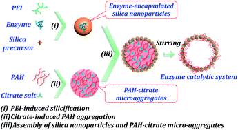 Graphical abstract: An efficient and recyclable enzyme catalytic system constructed through the synergy between biomimetic mineralization and polyamine–salt aggregate assembly