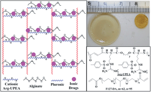 Graphical abstract: Development of a biocompatible and biodegradable hybrid hydrogel platform for sustained release of ionic drugs