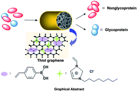 Graphical abstract: Facile synthesis of graphene doped poly(ionic liquid) boronate affinity material for specific capture of glycoproteins