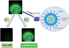 Graphical abstract: Silica cross-linked nanoparticles encapsulating a phenothiazine-derived Schiff base for selective detection of Fe(iii) in aqueous media