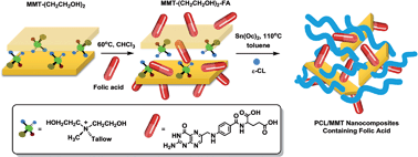 Graphical abstract: Folic acid modified clay/polymer nanocomposites for selective cell adhesion