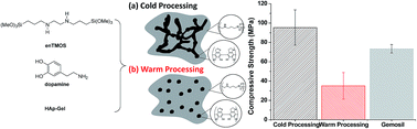 Graphical abstract: The role of temperature in forming sol–gel biocomposites containing polydopamine